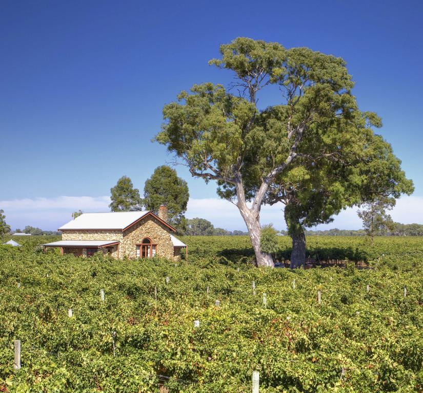 Highbank Country Accommodation Coonawarra Cameră foto