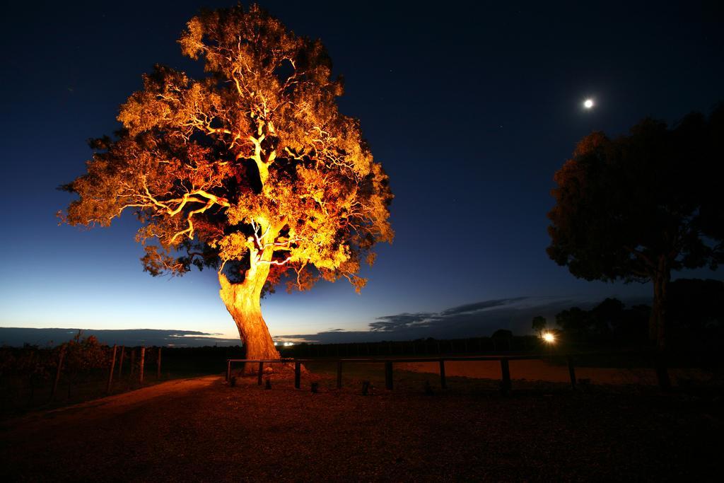Highbank Country Accommodation Coonawarra Cameră foto