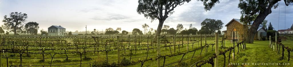 Highbank Country Accommodation Coonawarra Exterior foto