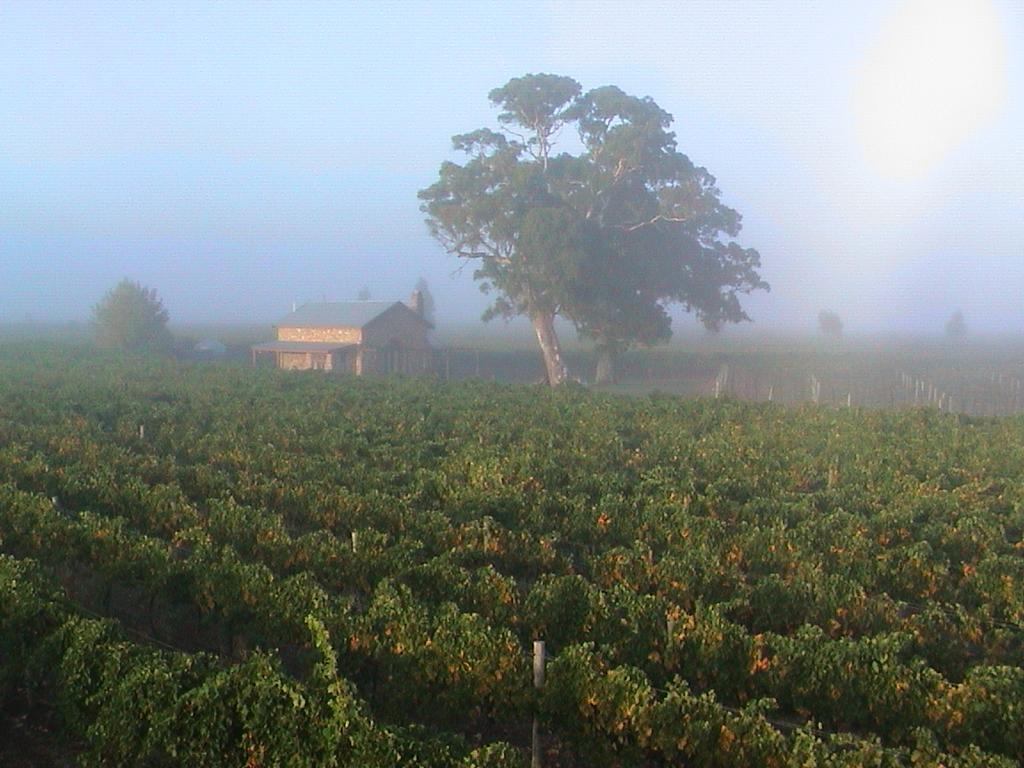 Highbank Country Accommodation Coonawarra Exterior foto