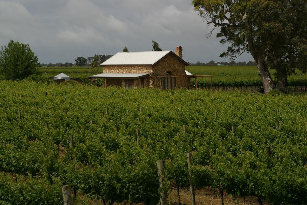 Highbank Country Accommodation Coonawarra Exterior foto